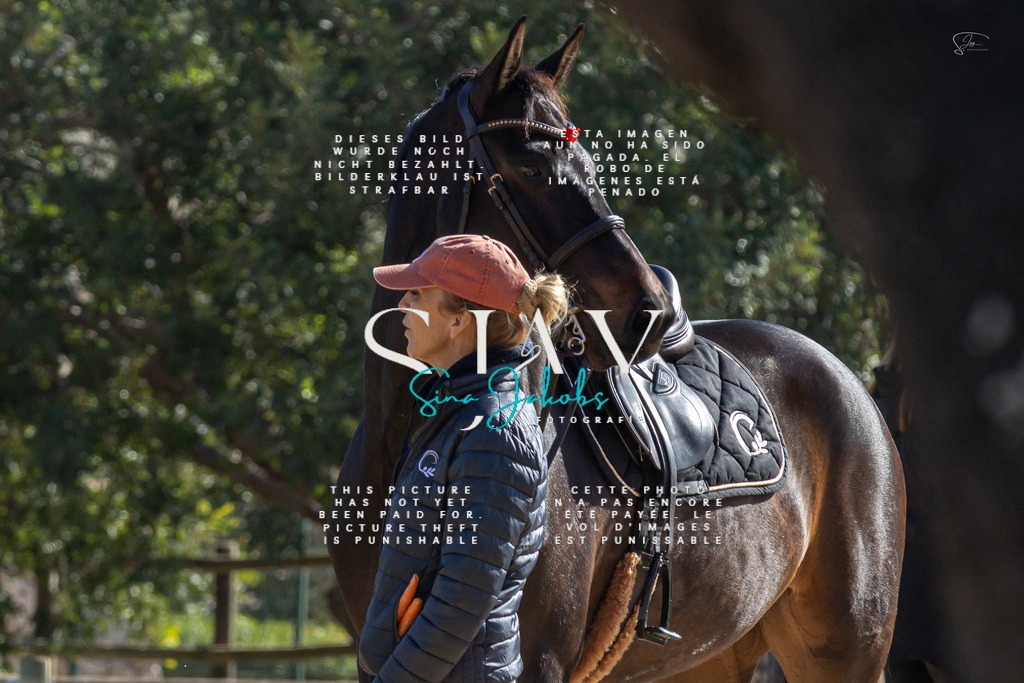 IMG_4201 | s-jay-photography - Realisiert mit Pictrs.com