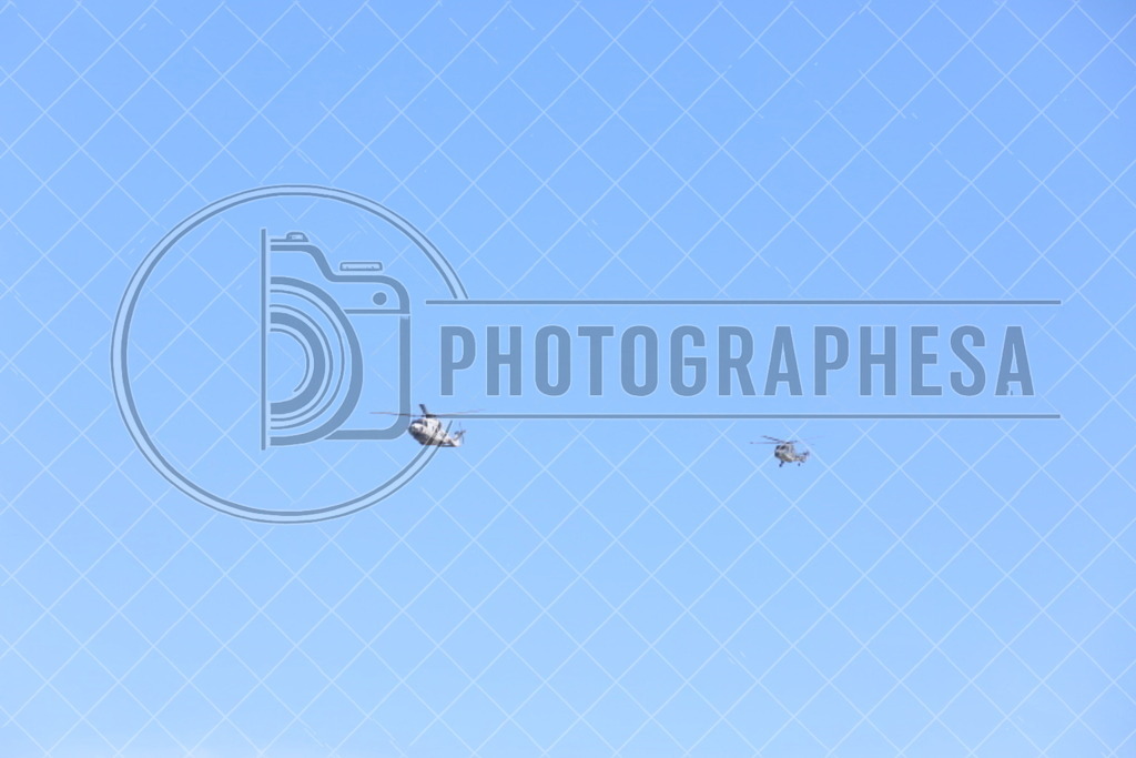 IMG_8827 | photographesa-joergens - Realisiert mit Pictrs.com