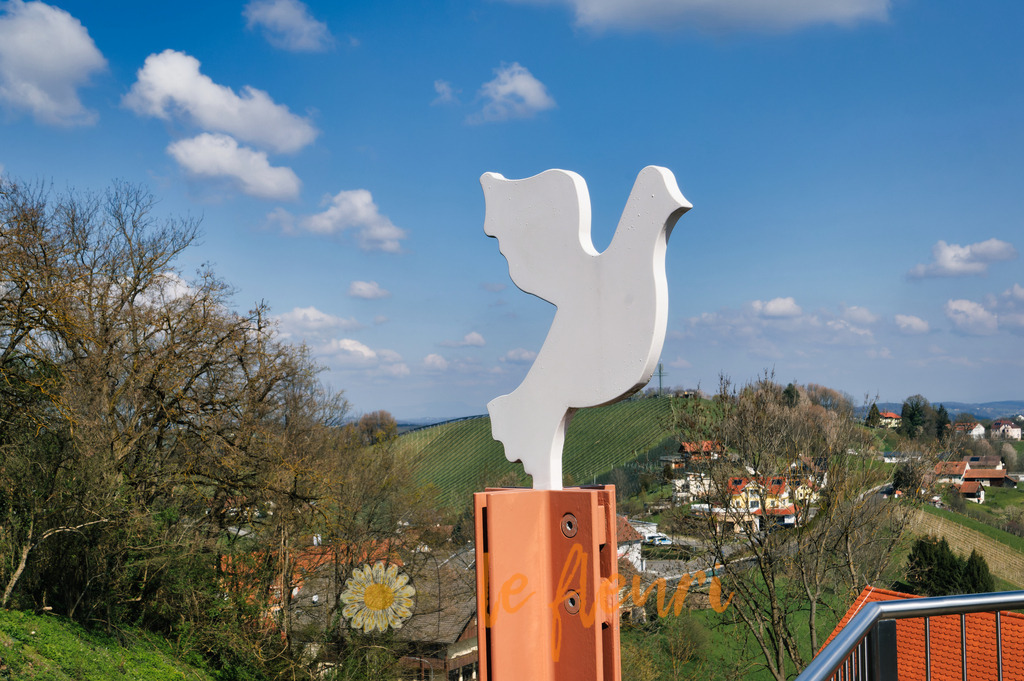Flieg, Taube, flieg... | Dies ist der Shop von Florian Blum - le fleuri. Langenthal, Bern, Schweiz. Sie können hier meine oder ihre eigenen Fotos als Fotoprodukte kaufen. Tassen, Schlüsselanhänger, Taschen etc. können Sie hier gestalten.  - Realisiert mit Pictrs.com