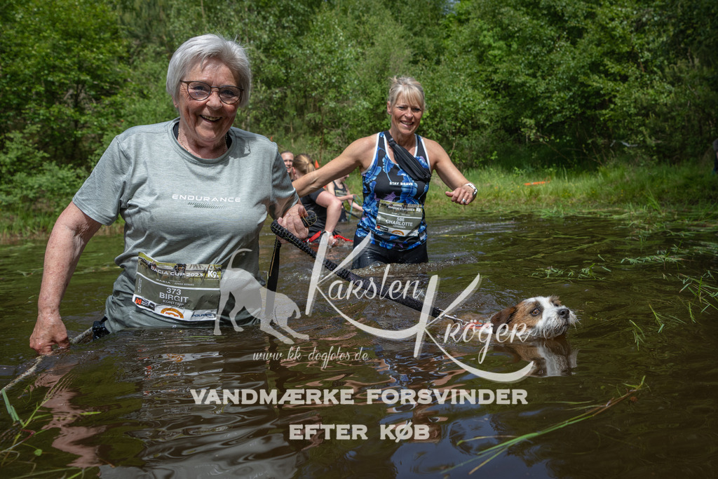 1123DKK990140 | kk-dogfotos