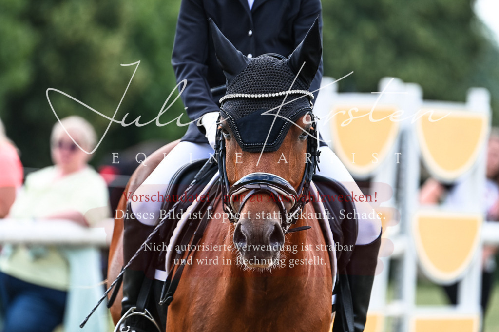 DSC_9078 | Pferde- und Turnierfotografie in Westsachsen. Pferdeportraits, Auftragszeichnungen und intuitive Kunst.