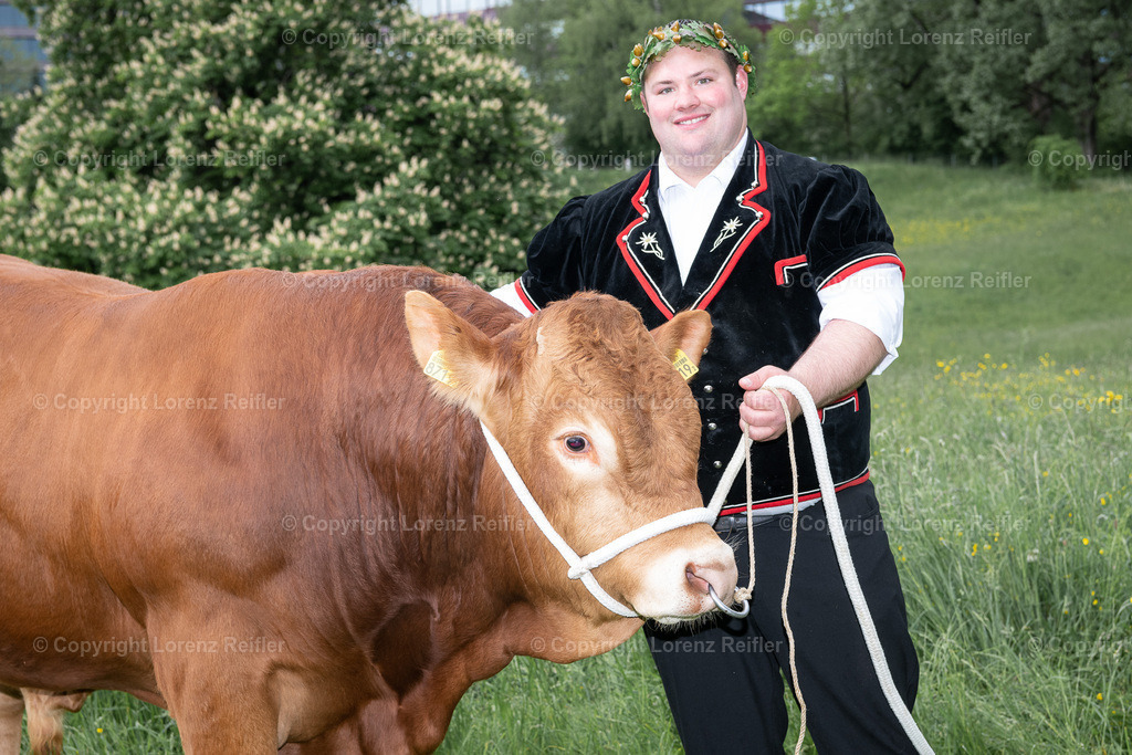 Schwingen -  Zürcher Kantonal 2023 | Zürich Allmend, 14.5.23, Schwingen - Zürcher Kantonal.