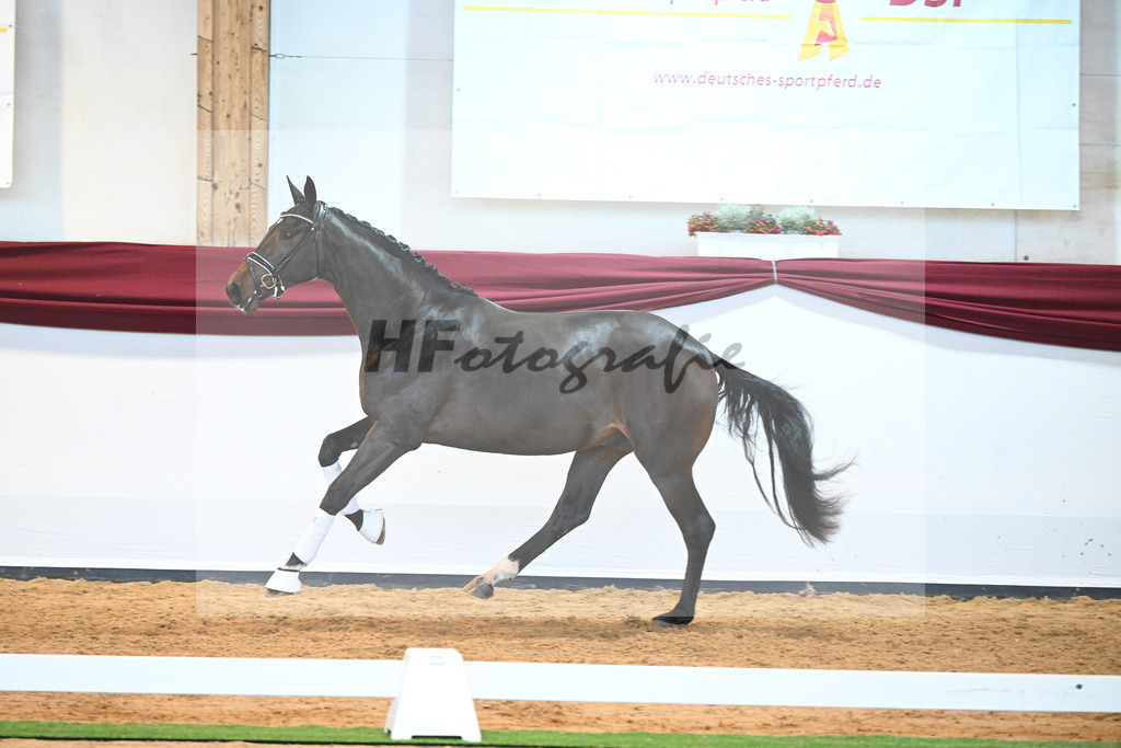 Kat-Nr. 16 v. De Beau_Schult_66220239 | hf-fotografie - Realisiert mit Pictrs.com