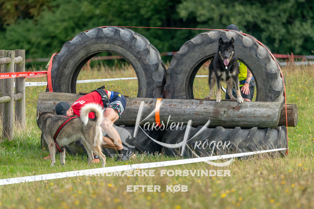 1106STR_1841 | kk-dogfotos