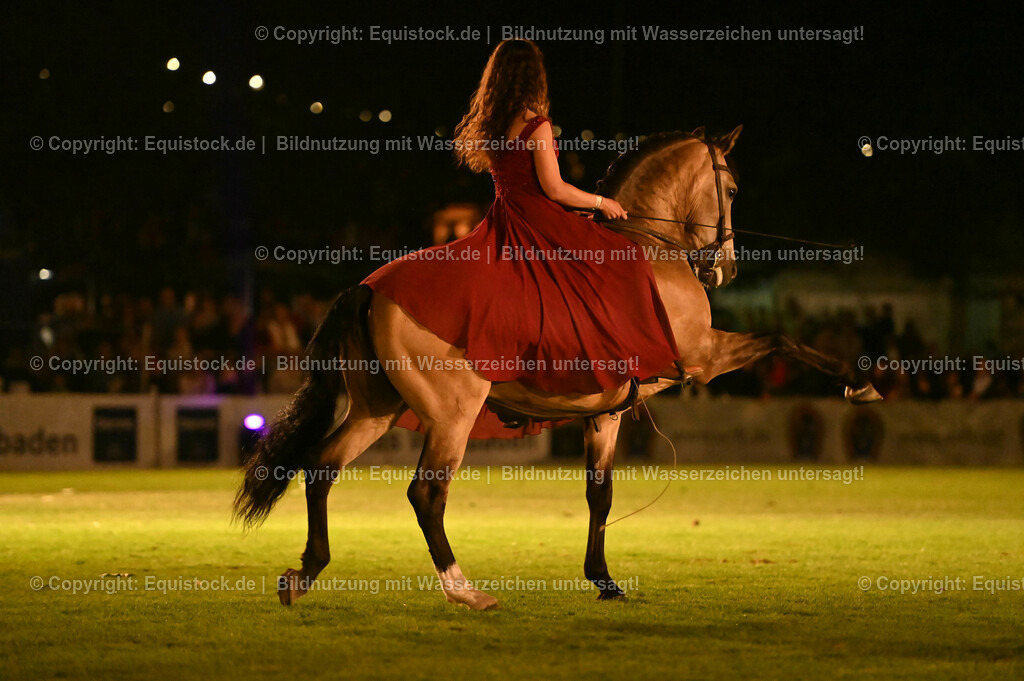 20230526_Pferdenacht_1376 | equistock