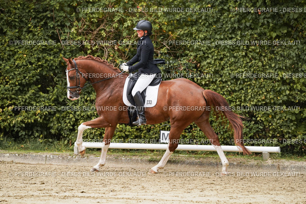 DSC00440 | Pferdegrafie