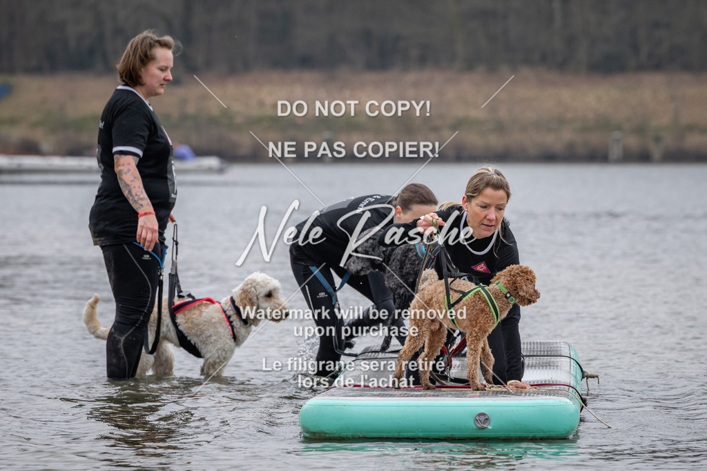 nelerasche_Hulsbeek_Sa1330-1430_397 | nelerasche