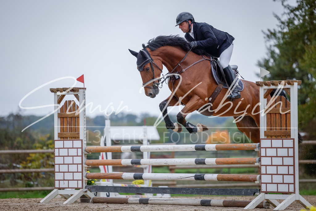20251012-_3LI4056 | Tierfotografie Pferde, Hunde, Katzen, Haustiere.
Turnierfotografie Reitturniere, Reiten, Springreiten, Dressur in Hanau, dem Main-Kinzig-Kreis und dem Rhein-Main- Gebiet um Frankfurt
