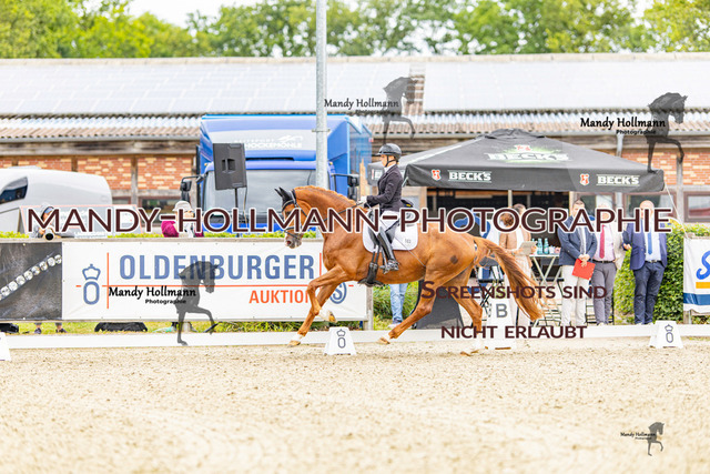 SW 4-61 | mandyhollmannphotographie