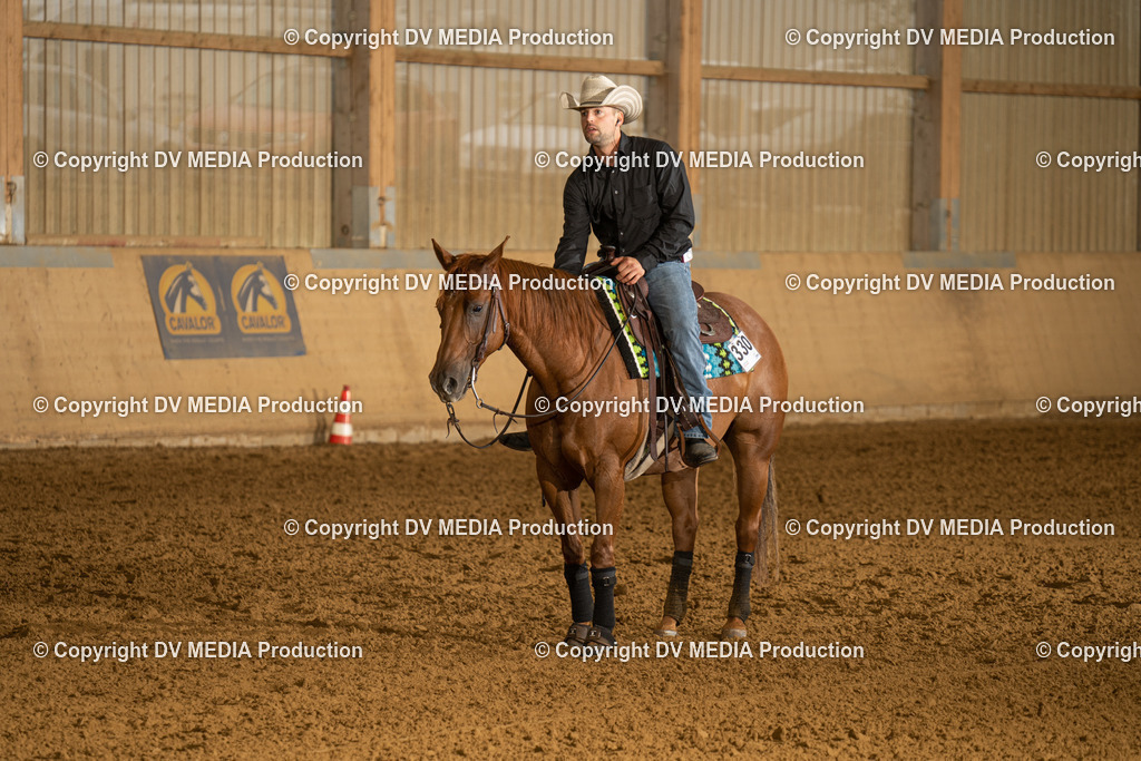 LAU00405 | dv-media-shop - Realisiert mit Pictrs.com