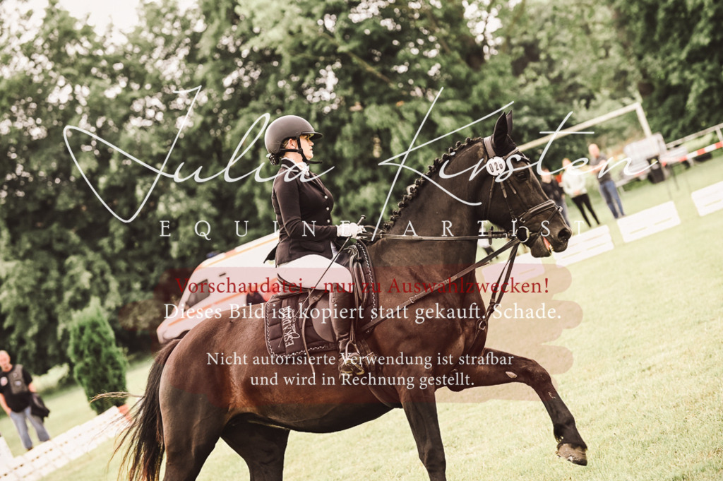 DSC_4907 | Pferde- und Turnierfotografie in Westsachsen. Pferdeportraits, Auftragszeichnungen und intuitive Kunst.