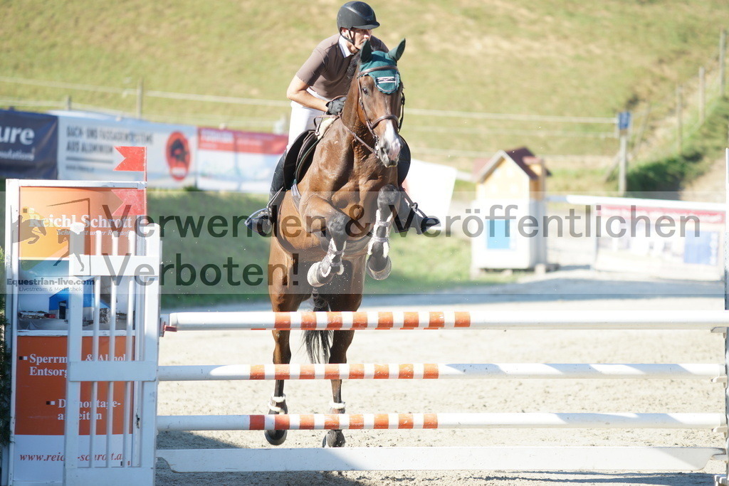 DSC01319 | equestrian-live-com