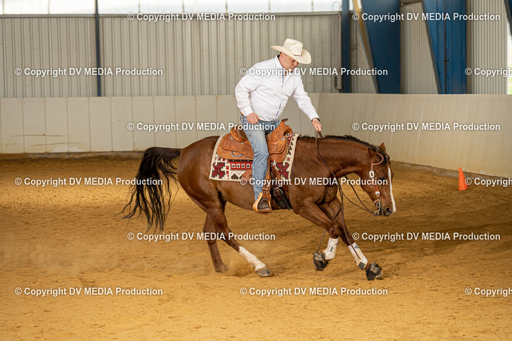 MIT00113 | dv-media-shop - Realisiert mit Pictrs.com