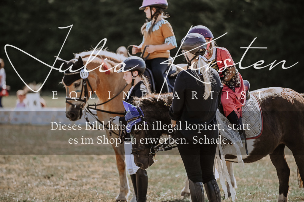 DSC_8937 | Pferde- und Turnierfotografie in Westsachsen. Pferdeportraits, Auftragszeichnungen und intuitive Kunst.