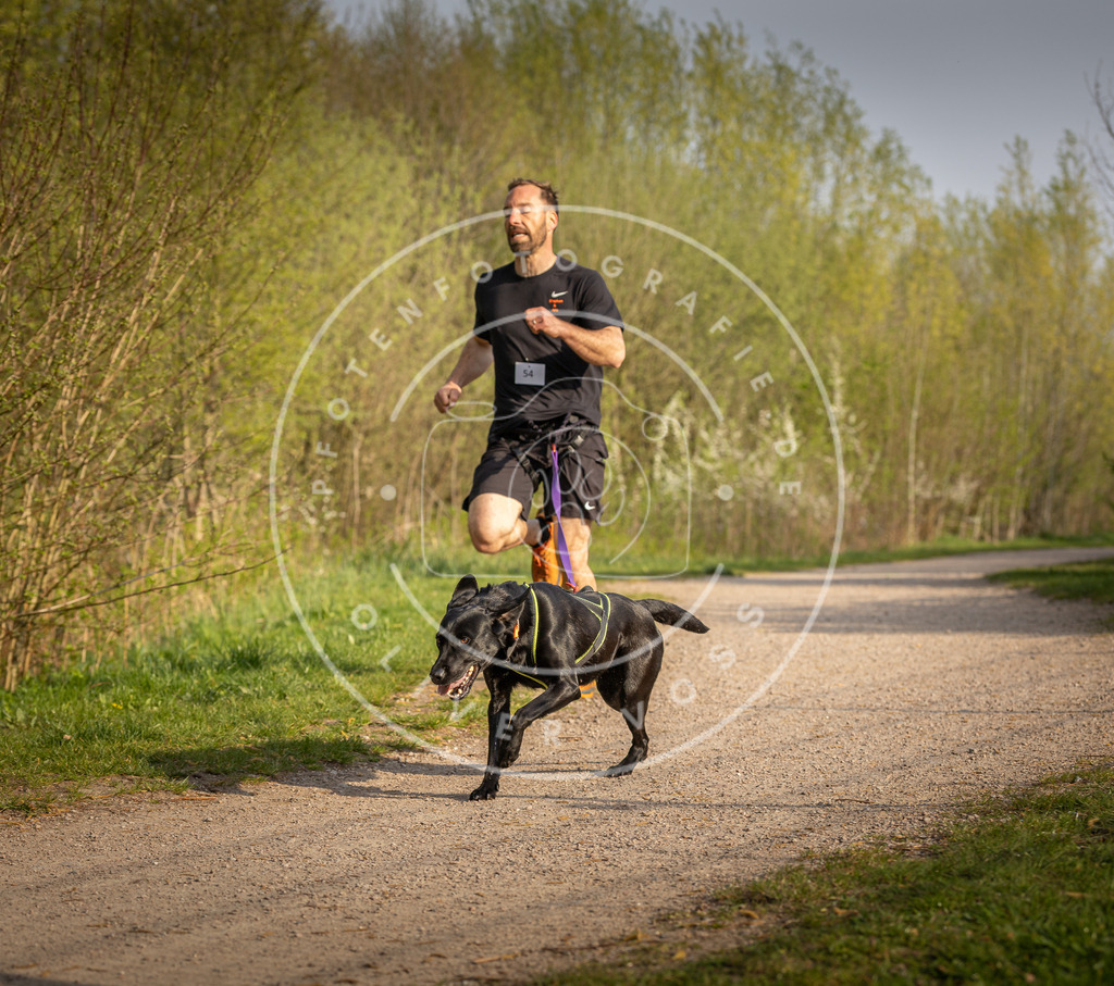 Pfotenfotografie_DV3A4633 | Hundefotografie, Tierfotograf, Pfotenfotografie, Fotoshooting Hund, Hunde Portrait, Hundesport, Hundeportraits, Heideshooting, Hunde, Sportfotograf, Hundefotograf, Turnierhundsport, THS,  - Realisiert mit Pictrs.com