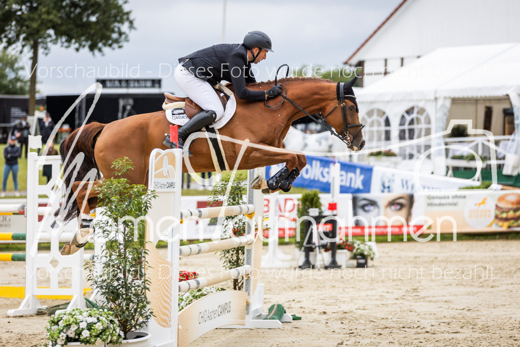 BHO-2PhSpr-M-5-2386 | MomenTaufnahmen Pferdesportfotos