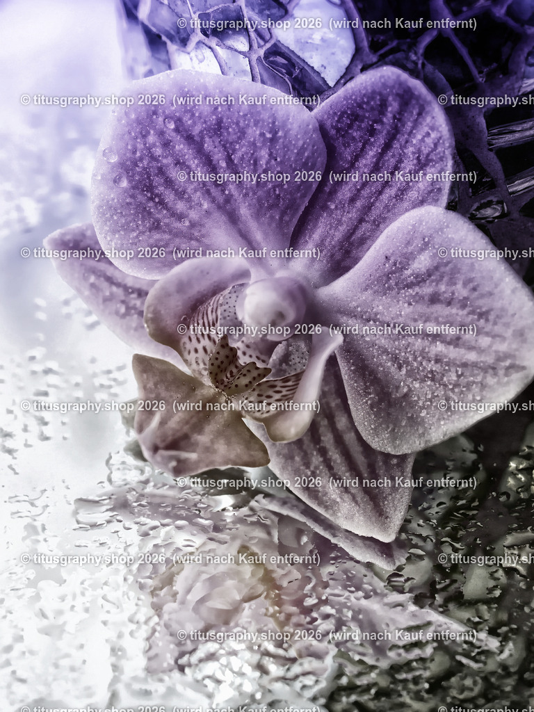 titusgraphy_P8040093_pe27-vz-ln | titusgraphy-shop: Geschenkideen mit Qualitätsfotos. titusgraphy-shop: gift ideas with quality photos. titusgraphy-shop: idées cadeaux avec photos de qualité.  - Realisiert mit Pictrs.com