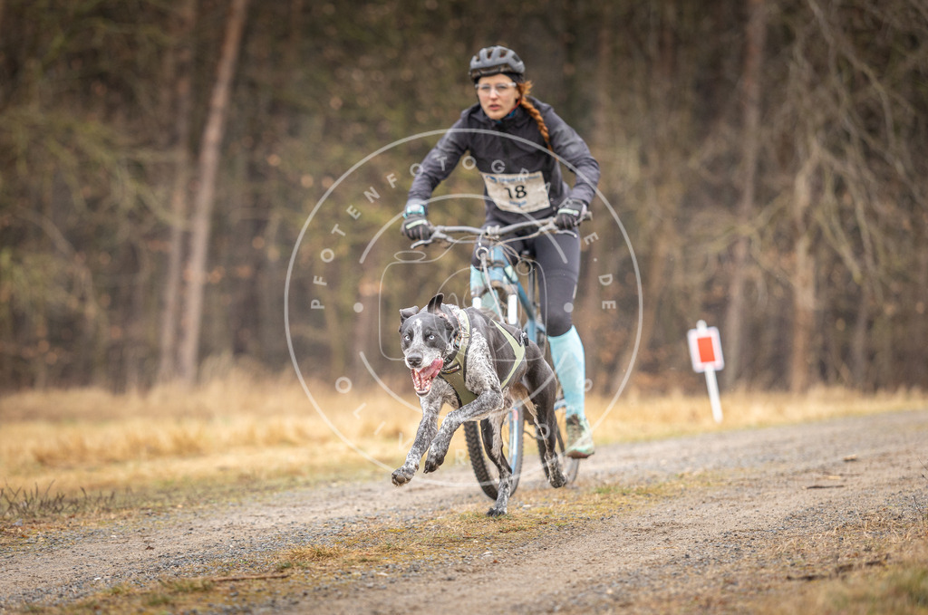 DV3A3216 | Hundefotografie, Tierfotograf, Pfotenfotografie, Fotoshooting Hund, Hunde Portrait, Hundesport, Hundeportraits, Heideshooting, Hunde, Sportfotograf, Hundefotograf, Turnierhundsport, THS,  - Realisiert mit Pictrs.com