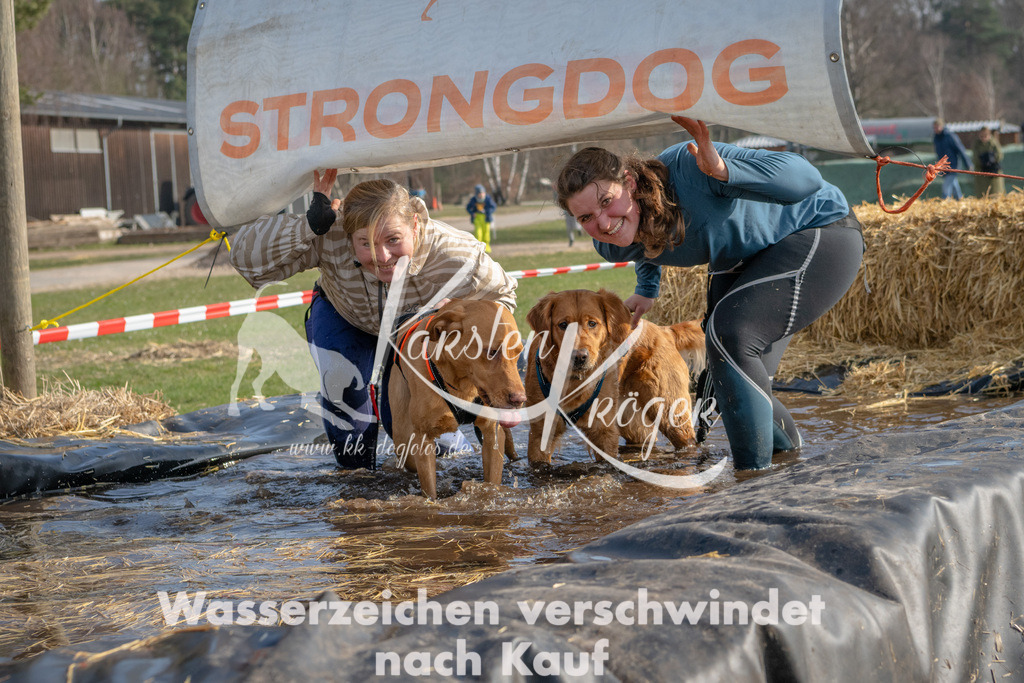 _ZZ91511 | kk-dogfotos