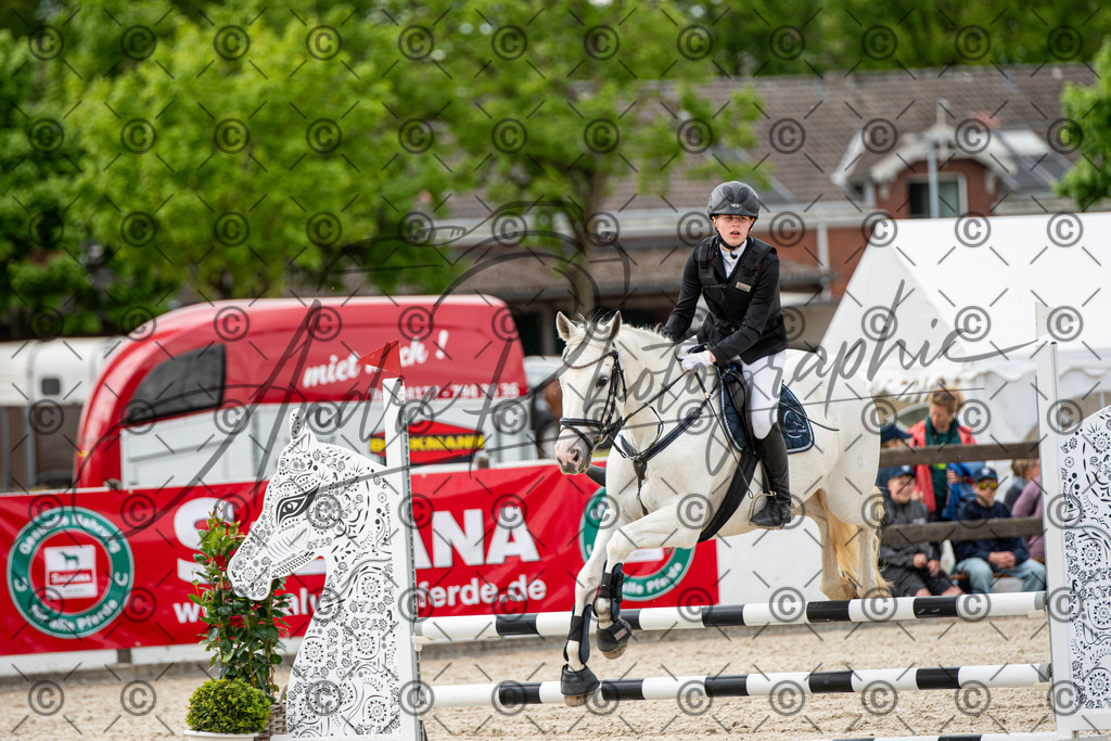 KPT_6489 | andre_photographic