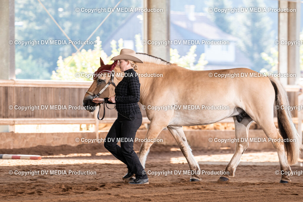 Erbach Tag 3-093 | dv-media-shop - Realisiert mit Pictrs.com