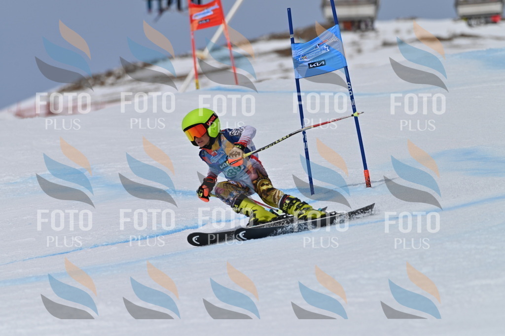 BGV_5774 | holidayphoto