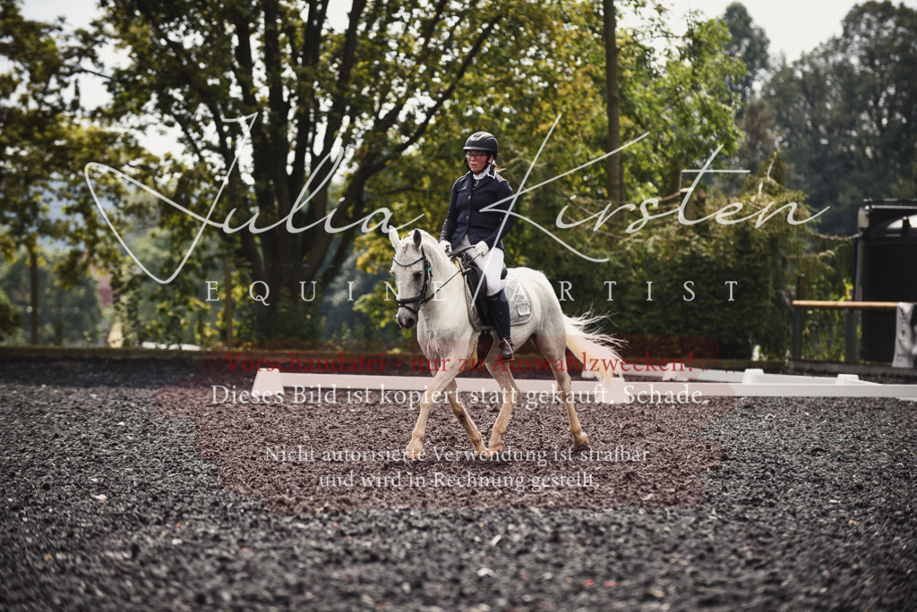 DSC_3913 | Pferde- und Turnierfotografie in Westsachsen. Pferdeportraits, Auftragszeichnungen und intuitive Kunst.