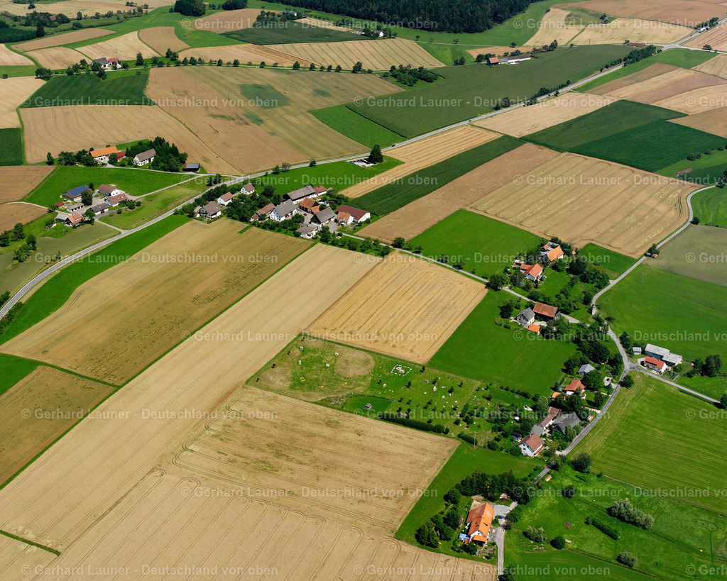 2536030 | Ruhestetten, Wald