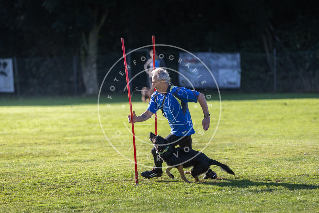 Pfotenfotografie.de_DV3A3348 | Hundefotografie, Tierfotograf, Pfotenfotografie, Fotoshooting Hund, Hunde Portrait, Hundesport, Hundeportraits, Heideshooting, Hunde, Sportfotograf, Hundefotograf, Turnierhundsport, THS, canicross - Realisiert mit Pictrs.com