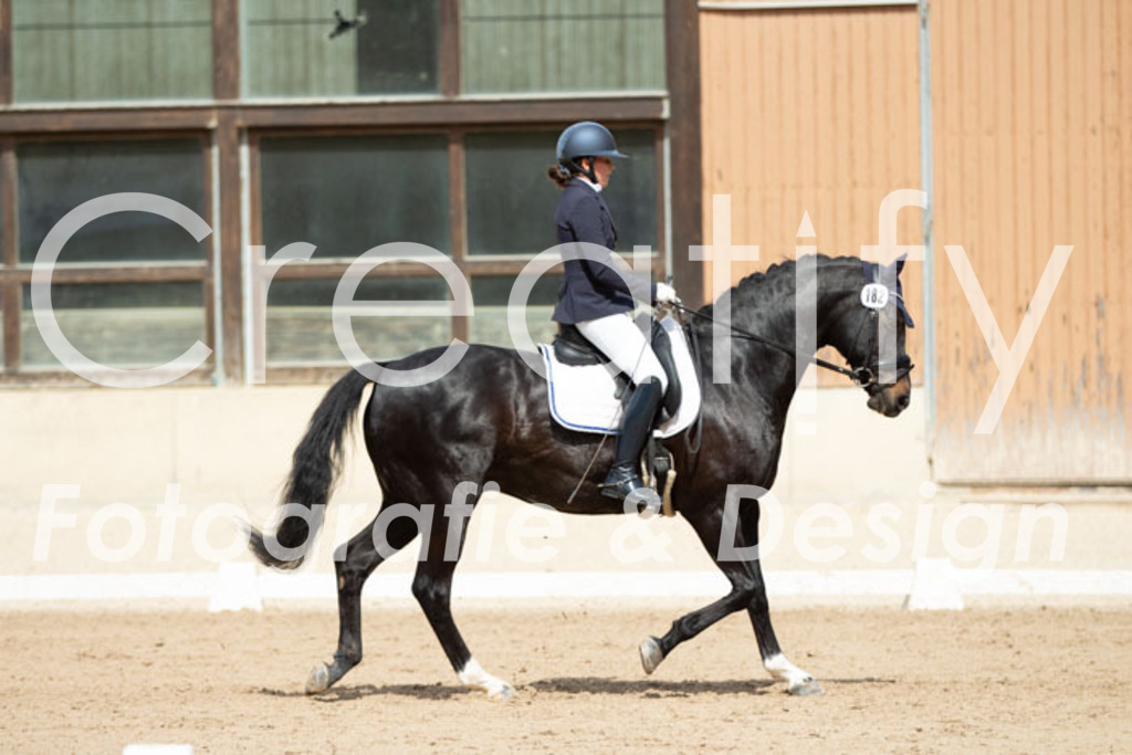 IMG_4783 | Creatify Fotografie