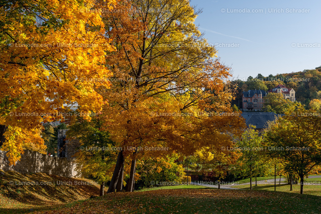 100494-3933 - Barockgarten Blankenburg | max. Bildgröße A2 | 300dpi - Realisiert mit Pictrs.com