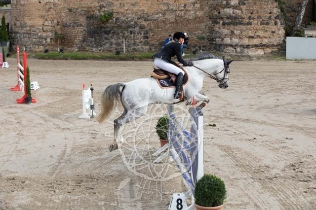 2B4A2083 | pixelfaenger - Realisiert mit Pictrs.com