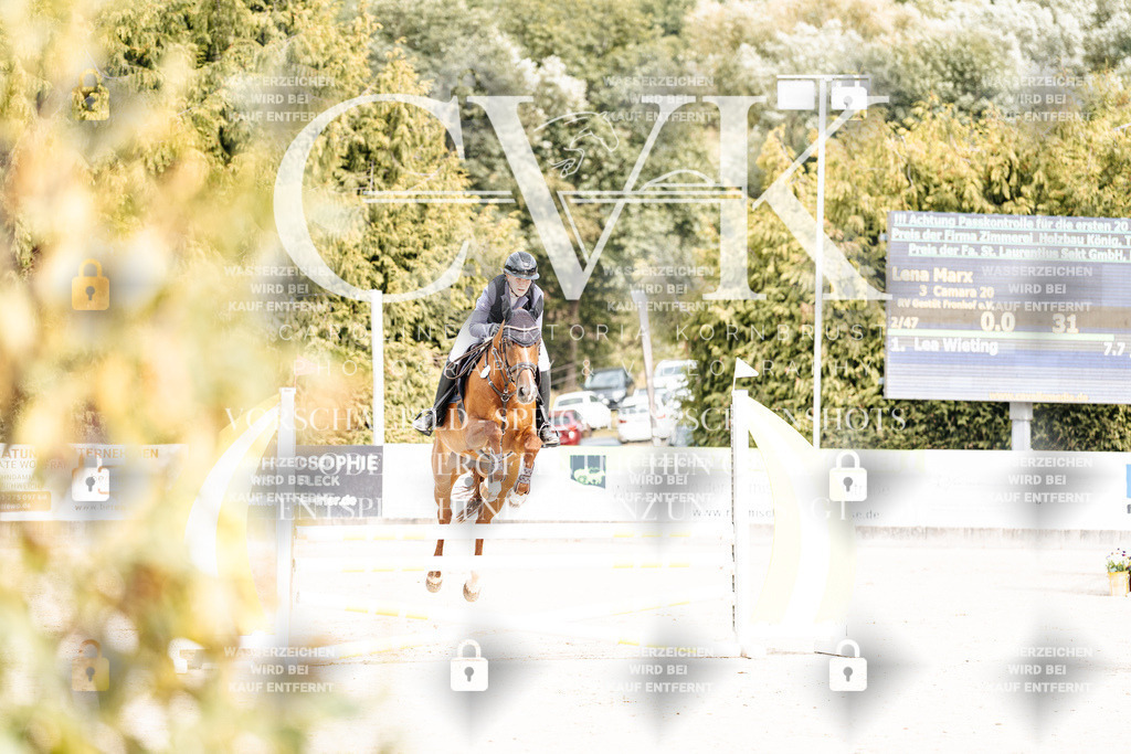 CK901878 | Turnierfotografie Pferdefotografie Trier Rheinland-Pfalz Pferdesport Reitsport Tierfotografie Sportfotografie Pferdevideo Pferdevideografie Equestrianvideography equestrianphotography  - Realisiert mit Pictrs.com