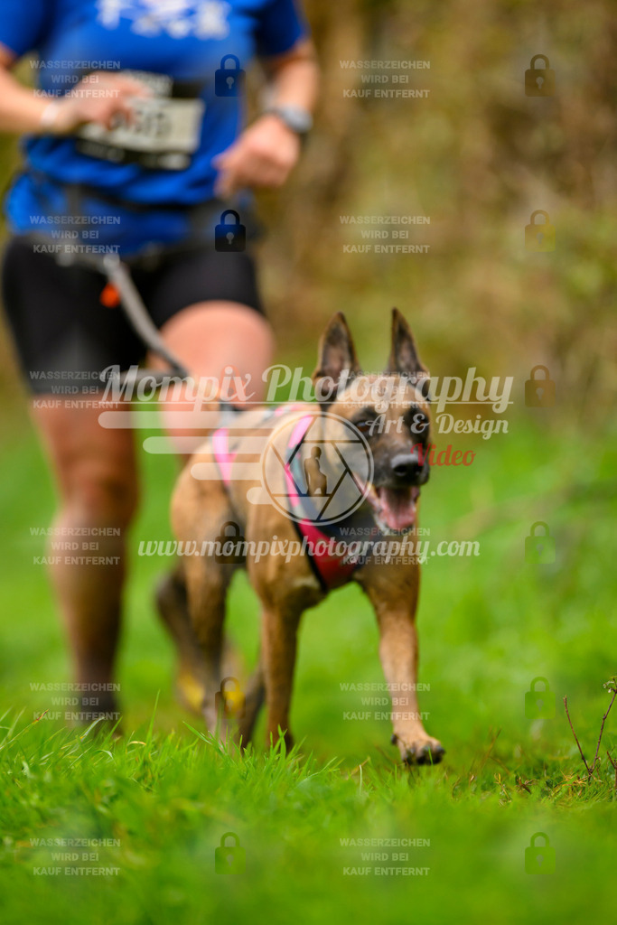MompixPhotography_20TSB_E8_Run-78 | PayLife