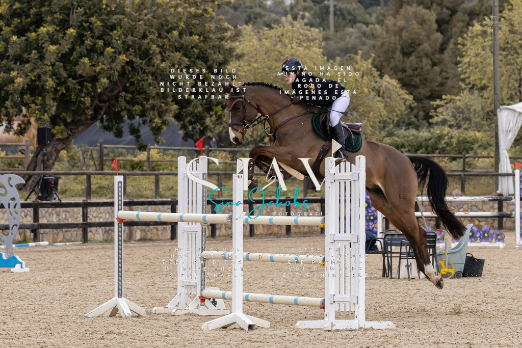 IMG_5159 | s-jay-photography - Realisiert mit Pictrs.com