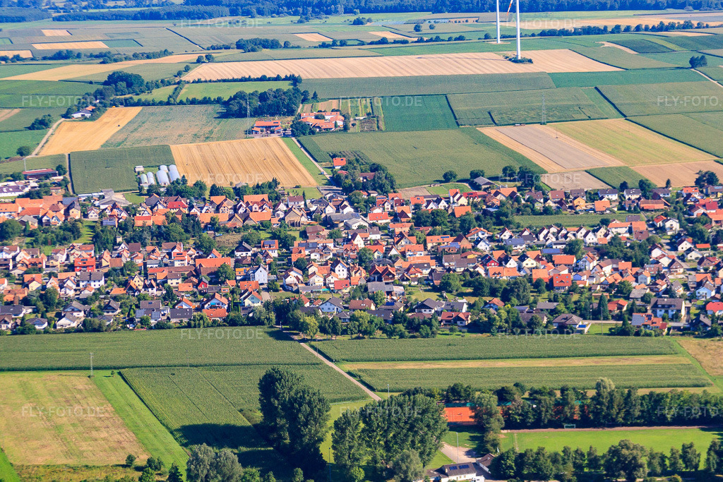 Luftbild: Ortspanorama hinterm Viehstrich von Süden in Minfeld im Bundesland Rheinland-Pfalz in Deutschland. Foto: IMG_31147.jpg vom 07.08.2010 durch Werner Riehm/FLY-FOTO.de