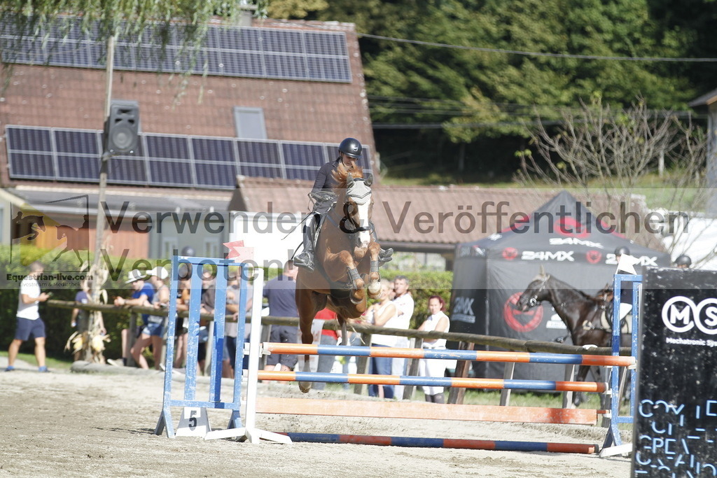 _MG_3598 | equestrian-live-com