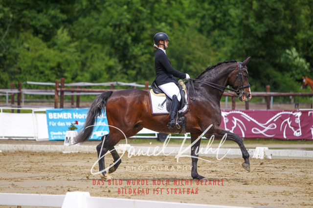 DKP40769 | Turniersportfotografie; Pferdefotografie; Dressurfotografie