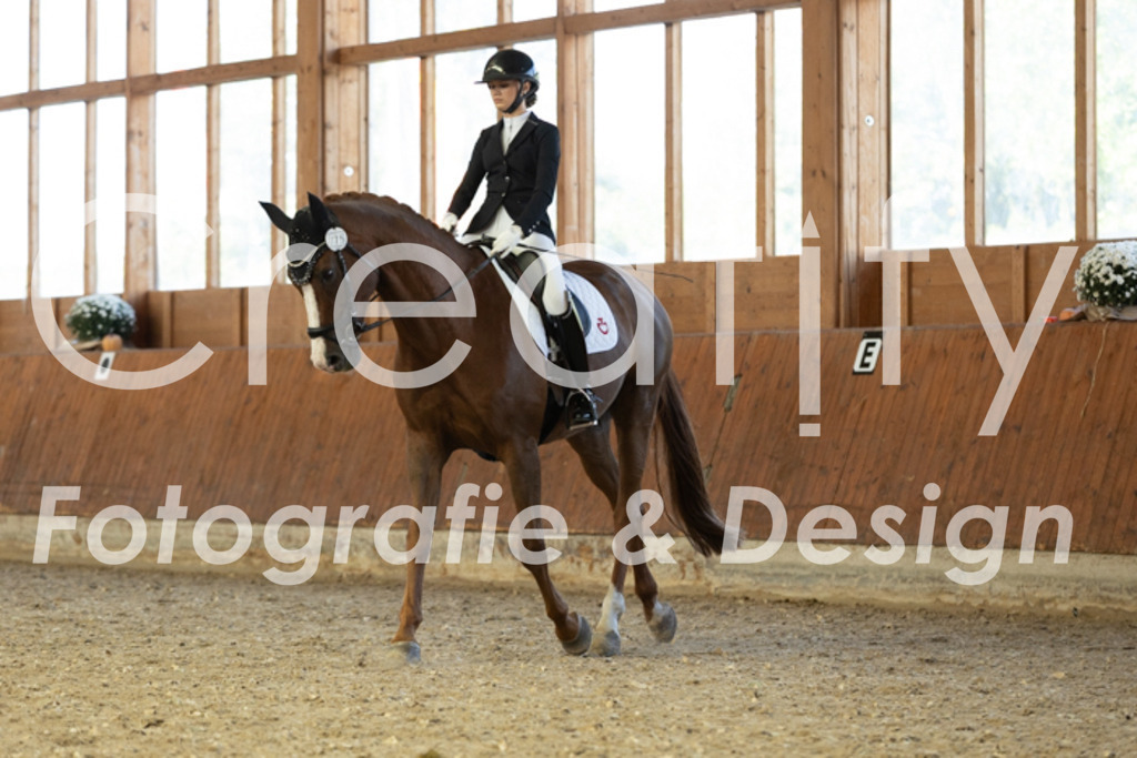 IMG_5077 | Creatify Fotografie