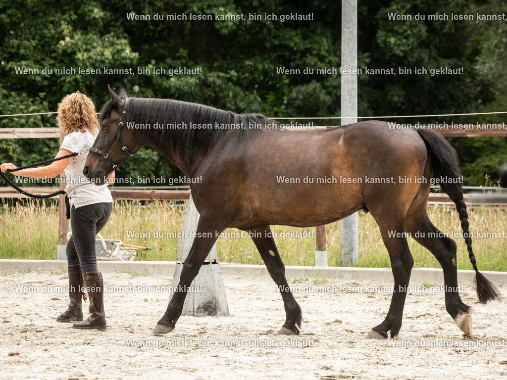598A6238 | photographylinaismer - Realisiert mit Pictrs.com