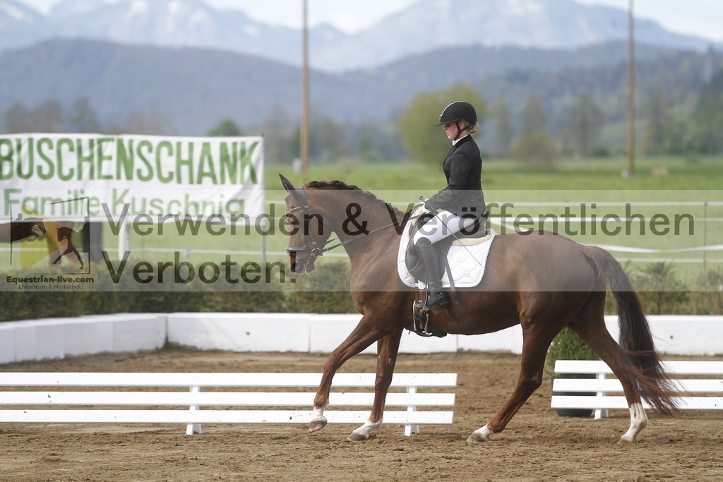 _MG_2500 | equestrian-live-com