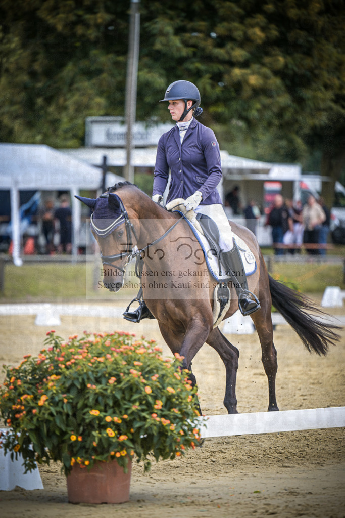DOS_9197 | Entdecke hochwertige Reitturnierfotos von Foto Oger. Professionell, emotional und authentisch – jetzt Lieblingsmomente im Shop bestellen.Deutschlandweite Turnierfotografie. - Realisiert mit Pictrs.com
