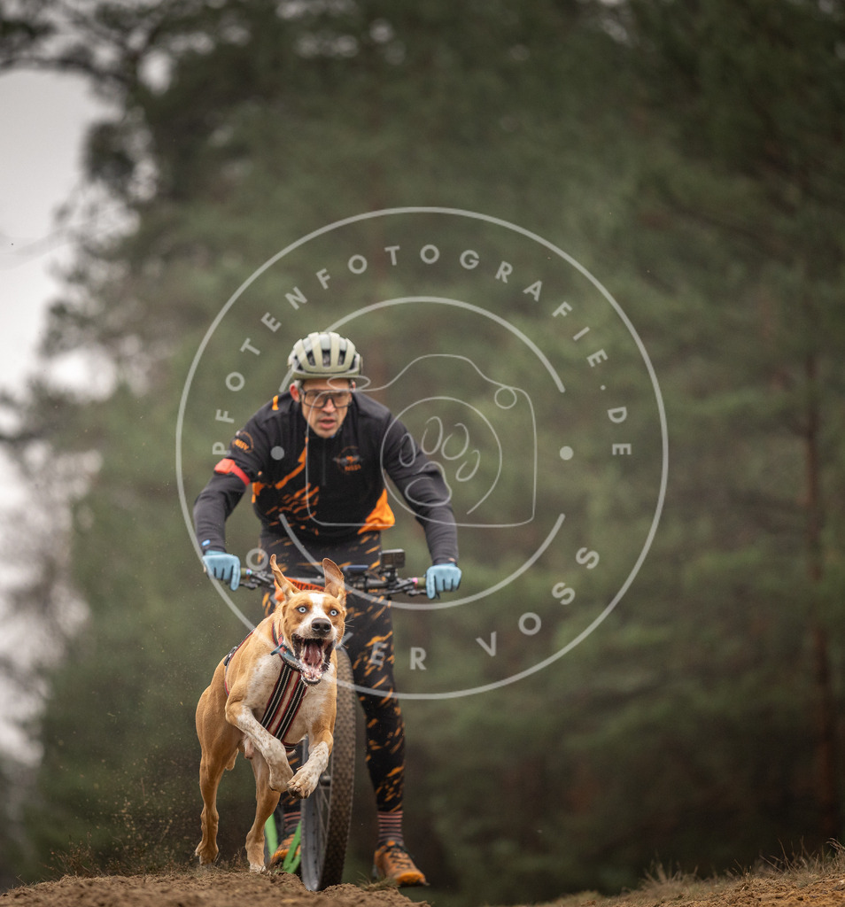 Pfotenfotografie_DV3A4199 | Hundefotografie, Tierfotograf, Pfotenfotografie, Fotoshooting Hund, Hunde Portrait, Hundesport, Hundeportraits, Heideshooting, Hunde, Sportfotograf, Hundefotograf, Turnierhundsport, THS,  - Realisiert mit Pictrs.com
