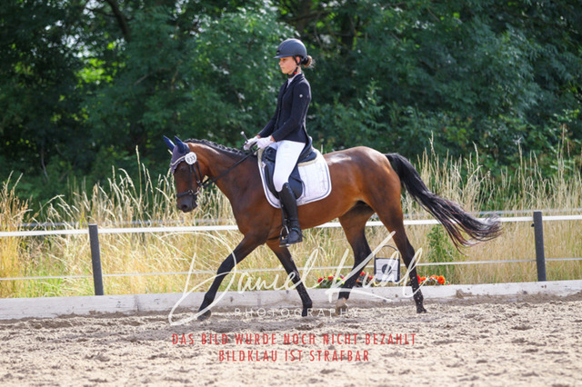 DKP45775 | Turniersportfotografie; Pferdefotografie; Dressurfotografie