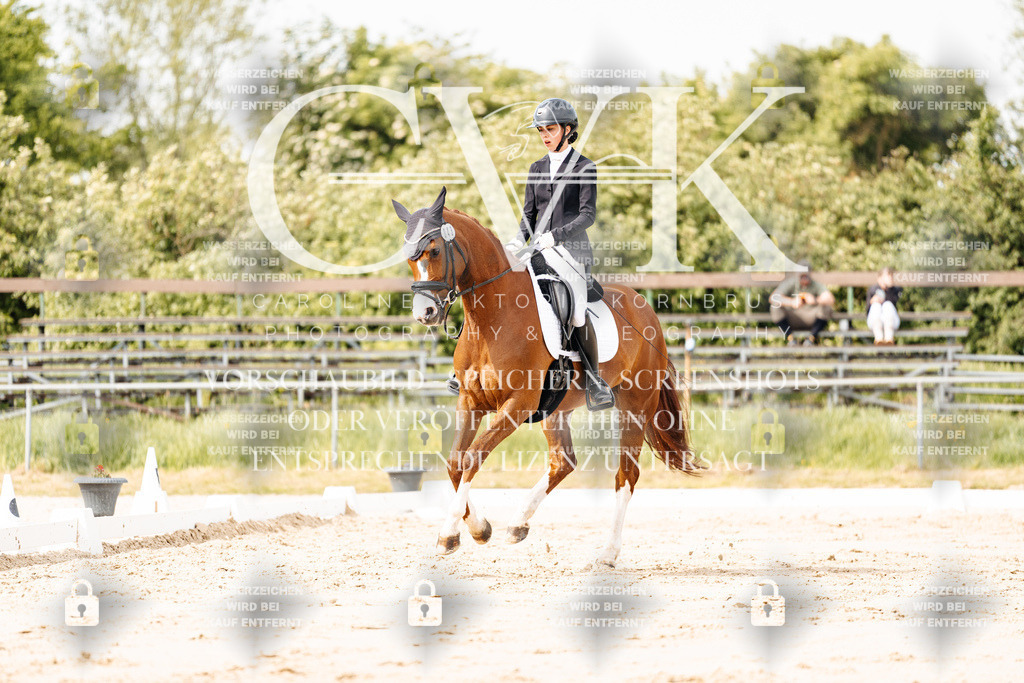CK901127 | Turnierfotografie Pferdefotografie Trier Rheinland-Pfalz Pferdesport Reitsport Tierfotografie Sportfotografie Pferdevideo Pferdevideografie Equestrianvideography equestrianphotography  - Realisiert mit Pictrs.com