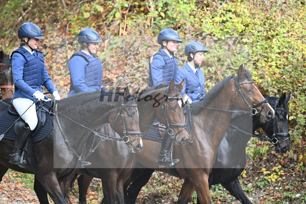 40250947 | hf-fotografie - Realizzato con Pictrs.com