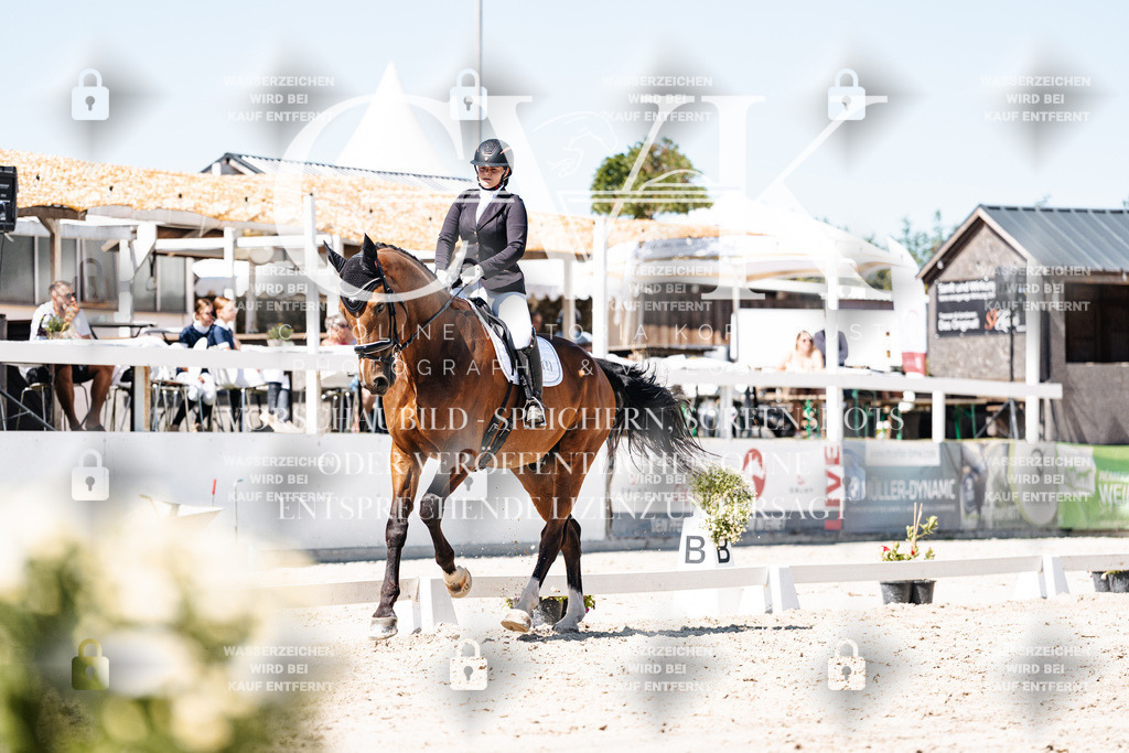 CK900048 | Turnierfotografie Pferdefotografie Trier Rheinland-Pfalz Pferdesport Reitsport Tierfotografie Sportfotografie Pferdevideo Pferdevideografie Equestrianvideography equestrianphotography  - Realisiert mit Pictrs.com