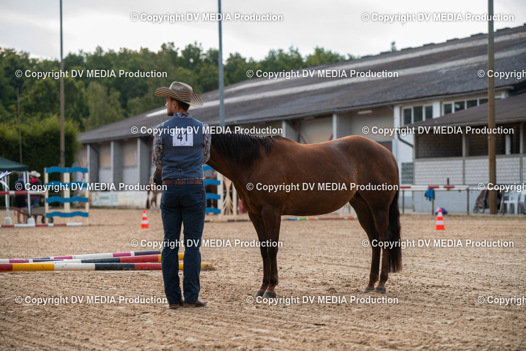 EWP_5532 | dv-media-shop - Realisiert mit Pictrs.com