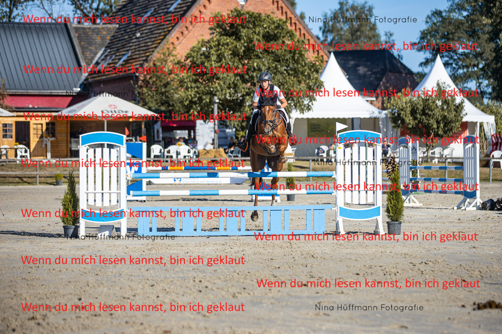 BK1A6074 | Turnierbilder Turnierfotos Nina Hüffmann Turnierfotografie Pferdefotografie Tierzeichnung Haustierzeichnung Pferdezeichnung Hundezeichnung Videograf  - Realisiert mit Pictrs.com