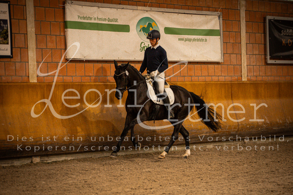 1Reiten00164 | Leoni Ertmer Photography - Realisiert mit Pictrs.com